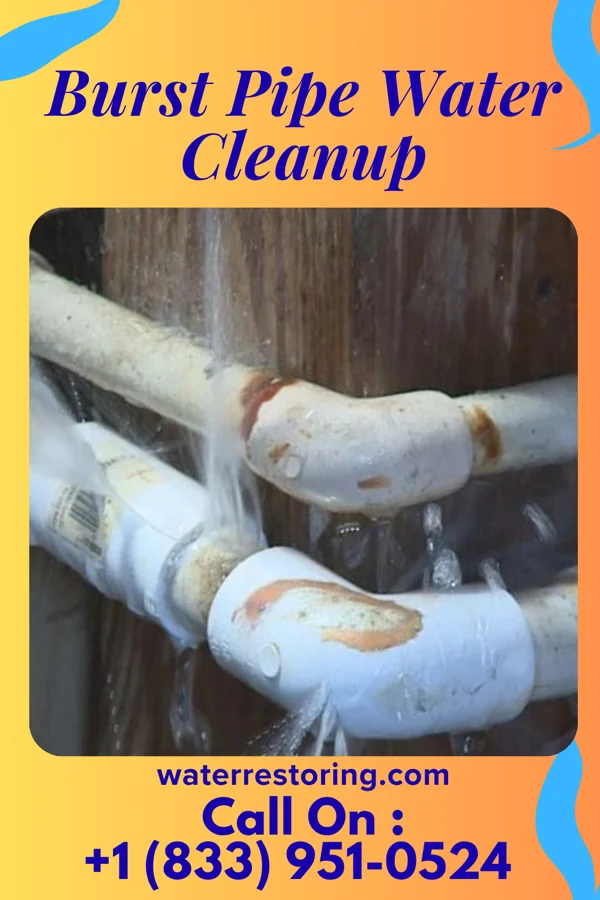 Burst Pipe Water Cleanup in Minoa, NY