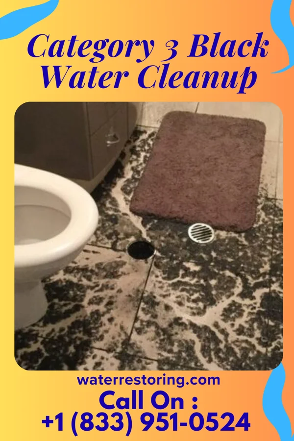 Category 3 Black Water Cleanup in Minoa, NY