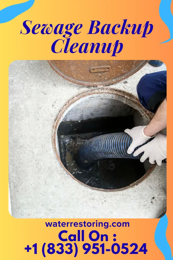 Sewage Backup Cleanup in Minoa, NY