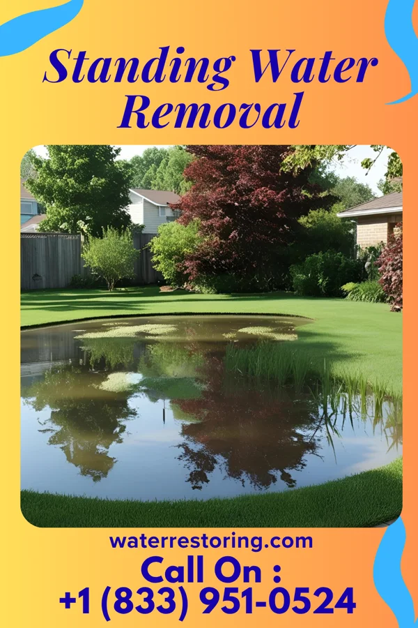 Standing Water Removal in Minoa, NY